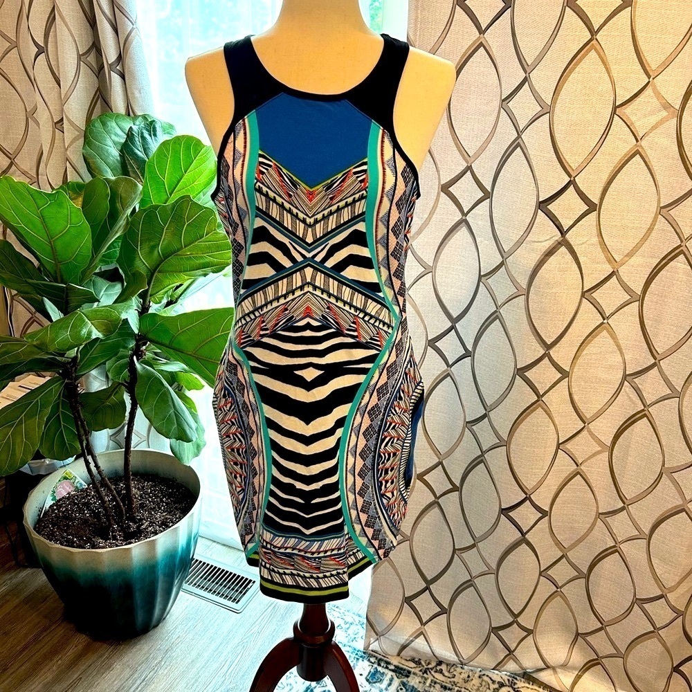 Express Dress Animal Print and Astract Print 95% cotton dress! Size Large